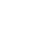 icons8-web-application-100
